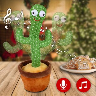 „Dancy” az éneklő kaktusz