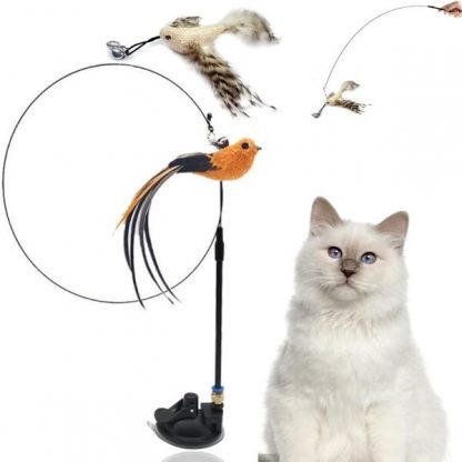 Macskajáték CATTY